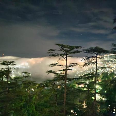 Magic Stays - Shimla Royale - Free Pickup From Railway Station Shimla Bagian luar foto