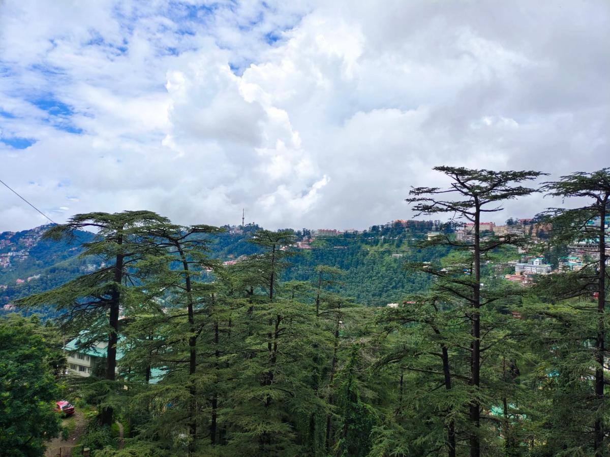 Magic Stays - Shimla Royale - Free Pickup From Railway Station Shimla Bagian luar foto