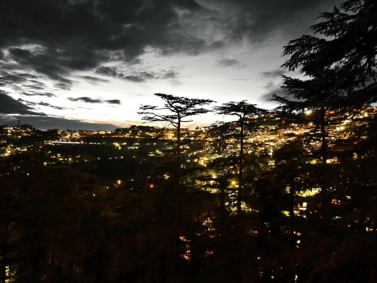 Magic Stays - Shimla Royale - Free Pickup From Railway Station Shimla Bagian luar foto